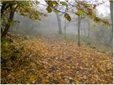 Planina - Dom na Mirni gori